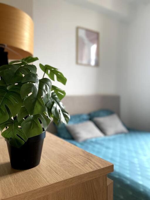 Appartement 2 Pieces A Quelques Minutes De Paris Le Pré-Saint-Gervais المظهر الخارجي الصورة